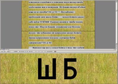 ris_5.JPG